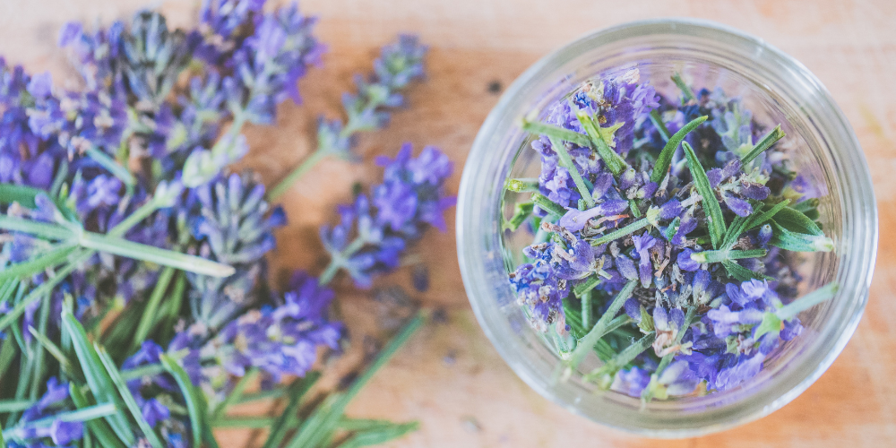 adaptogens homeopahtic